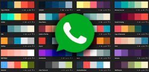 ColorWhatsapp
